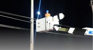 Perbaikan jaringan PLN. (PLN Kalselteng)