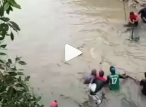 Penangkapkan buaya pemangsa bocah di Nunukan. Video dapat dilihat di bagian terakhir berita. (IG @peristiwa_sekitar_kita)