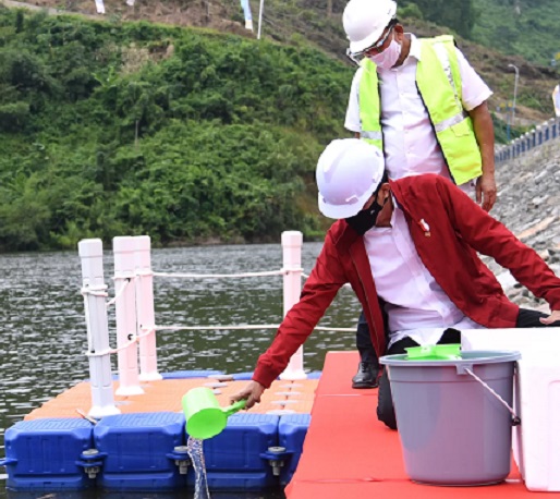 Presiden Joko Widodo menebar benih ikan di Bendungan Tapin. (BPMI Setpres-Lukas)