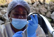 Kongo Laporkan Dua Lagi Kasus Ebola, Telat Ditangani Bisa Berakibat Fatal