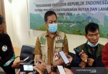 BPBD Tapin Deteksi Hot Spot dan Asap di Lubang Bekas Tambang
