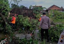 Puting Beliung Amuk Banten, 170 Rumah Rusak dan 1 Roboh
