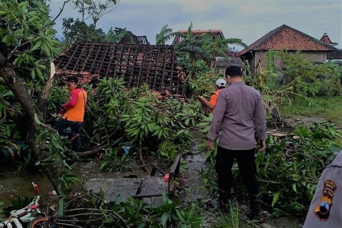 Sejumlah relawan BPBD Demak bersama Polisi melakukan evakuasi pohon tumbang dan rumah terdampak puting beliung di Desa Karangsono, Kecamatan Mranggen, Kabupaten Demak, Jawa Tengah, Selasa (23/2/2021). (ANTARA/HO-BPBD Demak)