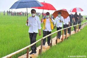 Presiden Joko Widodo memakai payung di tengah derasnya hujan yang mengguyur Desa Makata Keri, Sumba Tengah, NTT. (Twitter @jokowi)