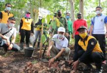Gerakan Revolusi Hijau Paman Birin Tanam Seribu Batang Pohon Ulin Di Tanah Bumbu, 10 Ribu Se Kalsel