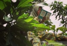 Fasilitas Terbatas tak Surutkan Semangat Anak-anak di Kubu Raya Kalbar untuk Belajar