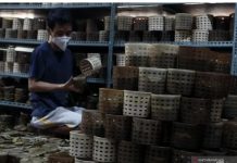 Ikan Bandeng Harus Ada, ini Beberapa Hidangan Khas yang Wajib Hadir saat Imlek dan Maknanya