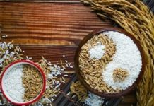 Kurang Terkenal, Beras Bambu Kaya Manfaat