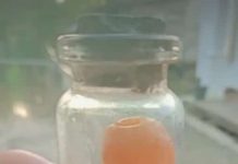 Video Warga Tangkap Tuyul Di Aluh-aluh Kabupaten Banjar, Ternyata HOAX