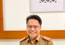 Mendagri Tunjuk Roy Rizali Anwar Jabat Pelaksana Harian Gubernur