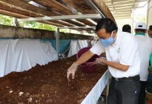 Peringati Hari Sampah Nasional 2021 dan Harlah Bank Sampah Sekumpul, Bank Sampah Ini Siap Kelola Sampah Organik