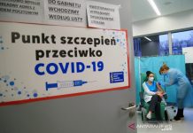 Kasus Pertama di Polandia, Ditemukan Varian COVID-19 dari Cerpelai Bisa Infeksi Manusia