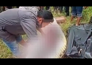 Proses pembelahan perut buaya dan ditemukan jasad bocah Dimas berusia 8 tahun di Kutai Timur. (IG)