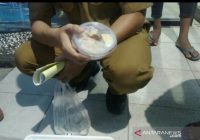 Penjelasan Dinkes HSU Penyebab  Soto Picu Keracunan Massal di Posyandu Amuntai Tengah