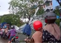 Pohon Tumbang Timpa Kanopi Taso di Jalan Pramuka Km 6 Akibat Hujan Deras Disertai Angin