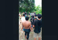 Pemuda Nekat Minum Racun Rumput, Tepergok Ibu Malah Kabur ke Hutan
