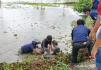 Ditres Narkoba Polda Kalsel Kejar Dua Pengedar Narkoba Hingga ke Persawahan di Tatah Layap