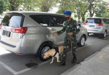 Pasca Bom di Gereja Katedral Makassar, Bandara Adi Soemarmo Solo Perketat Pengamanan