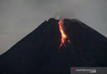 Gunung Merapi Luncurkan 25 Kali Guguran Lava Pijar, Berdampak ke Beberapa Wilayah Sekitar