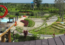 Kalimantan Selatan Juga Punya Kebun Raya, Lho! Ada Ribuan Tanaman Langka dan Unik, yuk Intip Apa Saja Koleksinya
