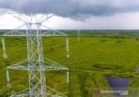 PLN Terapkan Digitalisasi pada 53 Unit Pembangkit Listrik