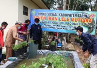 Bupati Tapin HM Arifin Arpan Tekankan Karang Taruna Kreatif Gali Ekonomi Produktif, Panen Lele di Desa Ayunan Papan