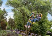 Daftarkan Anak Lomba Mewarna, Pendamping Dapat Diskon Tiket Masuk Amanah Borneo Park Banjarbaru