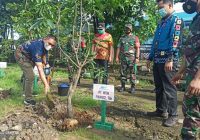 Peringati HUT Ke-39, WOM Finance Tanam Seribu Bibit Pohon di Sembilan Kota di Indonesia