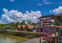 Pesona Indah nan Instagramable Wisata Mangrove Pulau Burung di Kalimantan Selatan, Cocok Bagi Pecinta Wisata Alam