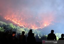 Kebakaran Hutan di China, 2 Tewas, 6 Luka