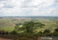 Pemerintah Diminta Lakukan Mitigasi Potensi Bencana di IKN Nusantara
