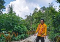 Jembatan Ulin Jalur Kandangan-Batulicin Sudah Saatnya Diganti
