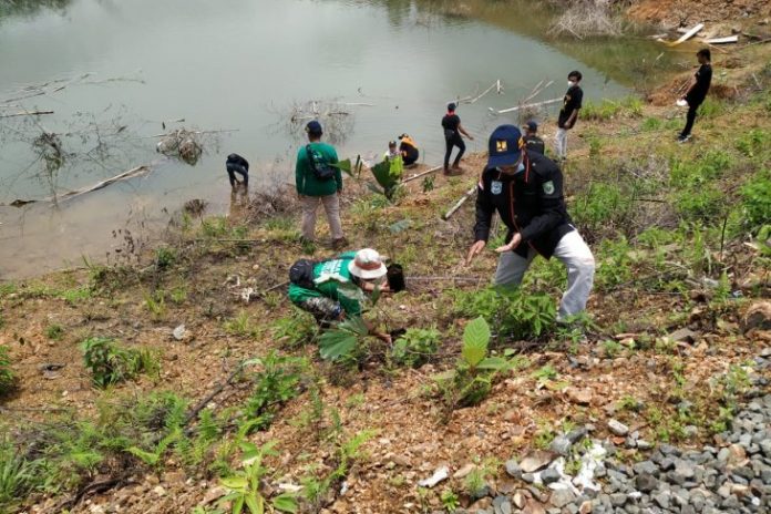 Penanaman pohon enau oleh Forum Komunitas Hijau. (antara)