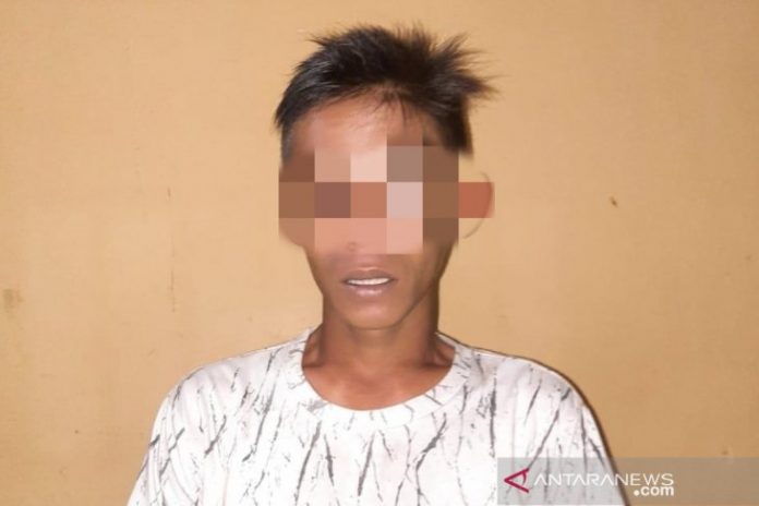 Tersangka pencurian sarang burung walet di Desa Panggang Marak, HST (Antaranews Kalsel/M Taupik Rahman)