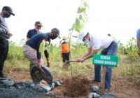 Pj Sekda Tanah Bumbu dan DLH Tanam Pohon di Kawasan Perkantoran Pemkab, Kick Off Rehabilitasi Hutan dan Lahan
