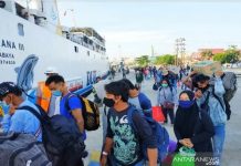 79,4 Juta Orang Bakal Mudik Saat Kebijakan Tanpa Antigen dan PCR