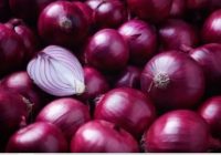 Alternatif Obat Aman Pengganti Obat Sirup Penyebab Gagal Ginjal Akut Pada Anak