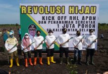 Kick Off Rehabilitasi Hutan dan Lahan, Targetkan Luas Penanaman se Kalsel Capai 32 Ribu Hektar Per Tahun