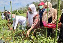 Ketua TP PKK Banjar Harapkan Agwowisata di Desa-desa Berkembang