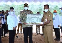 Target Peremajaan Sawit Pada 2021 di Kalsel Seluas 3.500 Hektar, Terbagi di Lima Kabupaten Berikut