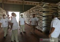 Bulog Kalimantan Selatan Siapkan 895 Ton Gula, Stok Beras dan Gula Aman untuk Ramadhan dan Idul Fitri 1442 Hijriah