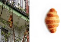 Sepotong Kue Croissant ini Dikira Hewan Berbahaya, Sukses Bikin Warga Takut Berhari-hari, Ternyata ini Faktanya