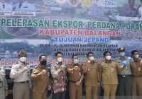 Balangan Jadi Kabupaten Pertama di Kalsel Ekspor Porang ke Jepang, Capai 100 Ton