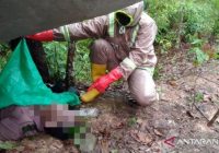 Penjual Tapai Keliling Warga HSS Ditemukan Meninggal Telentang di Pinggir Jalan Balangan