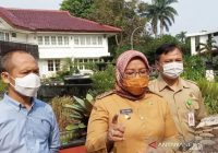 Pengunjung Membeludak, Pengelola Wisata Boash Waterpark Bogor Kena Denda