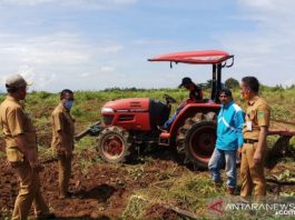 Zairullah Berharap Distan Kalsel Beri Bibit Gratis untuk Ringankan Petani Korban Banjir