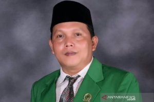 Plt Ketua DPC PPP HST, Jainuddin Bahrani (ist via antara)