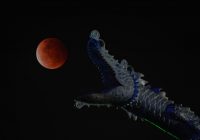 Tengok Indahnya Gerhana Bulan Super Flower Blood Moon di Malaysia 26 Mei 2021, ini Bedanya dengan Super Blood Moon Indonesia