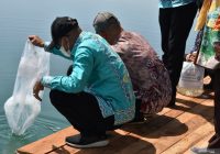 10 Ribu Benih Ungguh Papuyu dan Haruan Ditebar di Embung Benua Biru Batibati