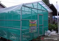 Ratusan Keluarga di Banjarmasin Ikut Program Pekarangan Pangan Lestari, Ini Tujuannya